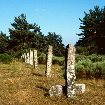 Paysage proche des chambres d'hôtes de La Ferme de Félix